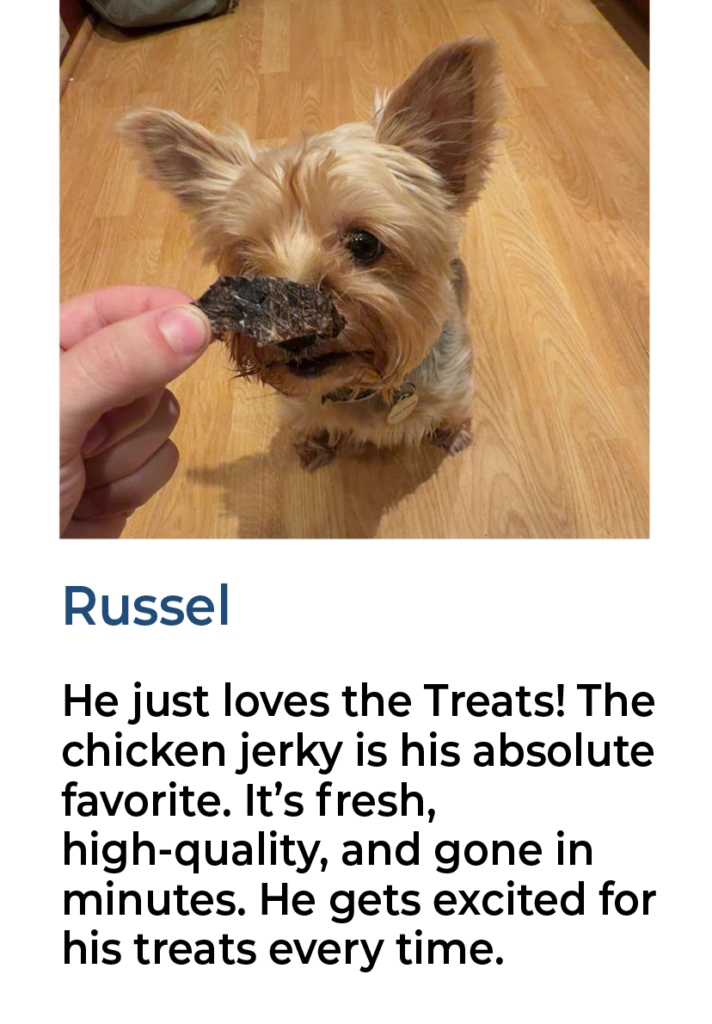 landing page review template